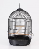 /album/ozlempetshop/a830-f3101a-jpg2/